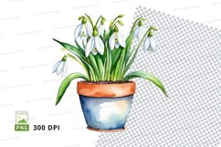 Watercolor snowdrop flowers in pot clipart png Product Image 1