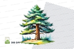 Watercolor pine tree clipart png Product Image 1