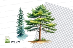 Watercolor pine trees clipart png Product Image 1