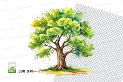 Watercolor tree clipart png Product Image 1