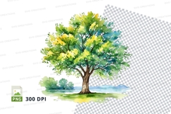 Watercolor tree illustration png Product Image 1