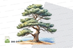 Watercolor bonsai tree clipart png Product Image 1