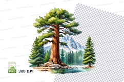 Forest pine tree clipart png Product Image 1
