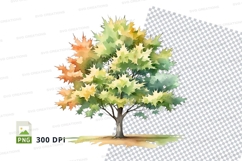 Watercolor maple tree clipart png Product Image 1