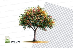 Clipart png of a fruit tree with oranges Product Image 1