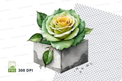 Gift box mockup with green rose Product Image 1