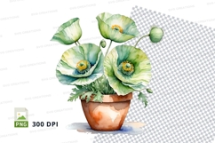Watercolor poppy flowers in pot clipart png Product Image 1