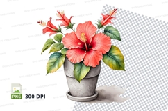 Hibiscus flower in pot clipart png Product Image 1