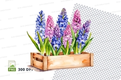 Hyacinth flowers in wooden crate clipart png Product Image 1