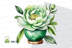 Watercolor flower in pot clipart png Product Image 1