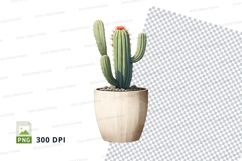 Cactus in pot clipart png Product Image 1