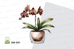 Orchid in decorative pot clipart png Product Image 1