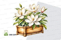 Watercolor magnolia flowers in bamboo pot clipart png Product Image 1