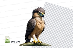 Clipart png of a realistic brown and black bird of prey Product Image 1