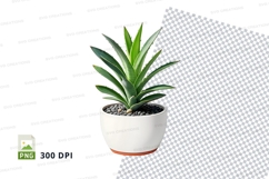 Potted succulent plant clipart png Product Image 1
