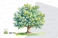 Watercolor tree clipart png Product Image 1
