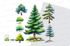 Forest trees clipart png collection Product Image 1