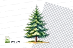 Watercolor pine tree clipart png Product Image 1