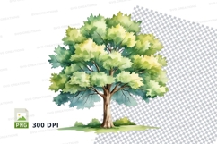 Watercolor tree illustration png Product Image 1