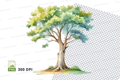 Watercolor tree clipart png Product Image 1