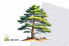 Pine tree clipart png Product Image 1