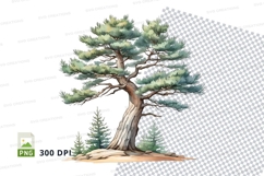 Pine tree clipart png Product Image 1