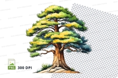 Watercolor pine tree clipart png Product Image 1