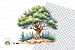 Watercolor pine tree clipart png Product Image 1