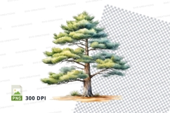 Pine tree clipart png Product Image 1