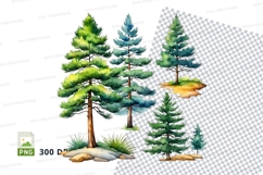 Watercolor pine trees clipart png Product Image 1