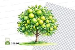 Lime tree clipart png Product Image 1