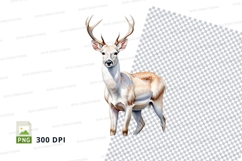 White reindeer clipart isolated on transparent background PN Product Image 1