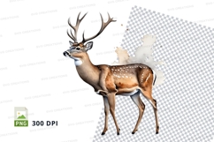 Majestic deer clipart isolated on transparent background PNG Product Image 1