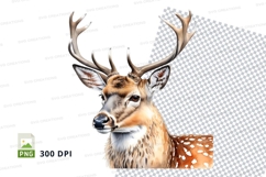 Deer clipart isolated transparent background wildlife art Product Image 1