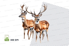 Two deer clipart standing winter forest wildlife illustratio Product Image 1