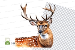 Deer clipart isolated transparent PNG watercolor illustratio Product Image 1