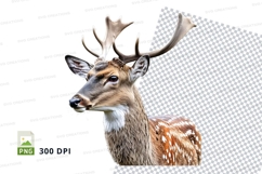 Majestic deer clipart isolated transparent PNG high detail Product Image 1