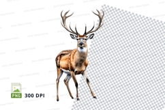 Majestic deer clipart isolated on transparent PNG background Product Image 1