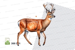 Male deer clipart isolated white background wildlife Product Image 1
