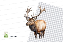 Majestic elk clipart PNG isolated white background wildlife Product Image 1
