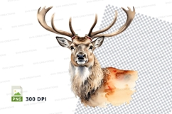 Realistic deer head clipart isolated white background wildli Product Image 1