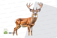 Majestic deer clipart isolated transparent PNG 300 DPI Product Image 1