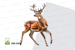 Deer clipart running transparent PNG isolated white backgrou Product Image 1