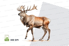 Majestic elk clipart walking in snowy winter forest illustra Product Image 1