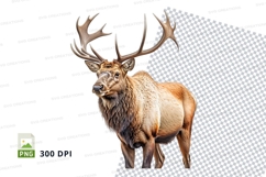 Majestic elk clipart PNG isolated white background wildlife Product Image 1