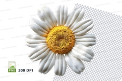 White Daisy Flower Clipart Transparent Background PNG Product Image 1