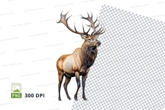 Majestic elk clipart PNG isolated on transparent background Product Image 1