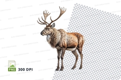 Majestic moose clipart isolated on transparent background PN Product Image 1