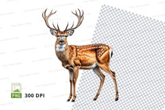 Majestic deer clipart isolated on transparent background PNG Product Image 1