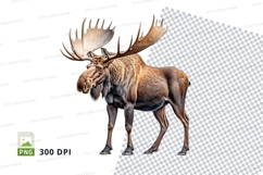 Majestic moose clipart isolated on transparent background PN Product Image 1